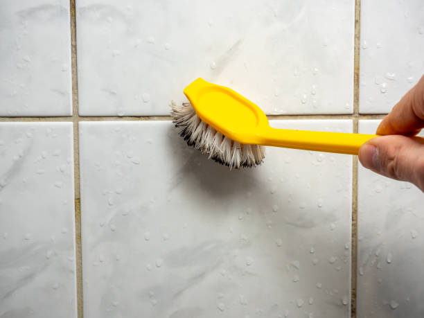 Best Professional Mold Removal  in Cowarts, AL