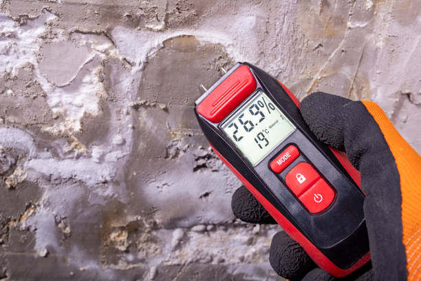 Best Local Mold Removal Service  in Cowarts, AL