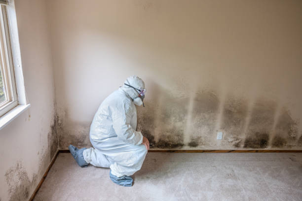 Best Attic Mold Removal  in Cowarts, AL