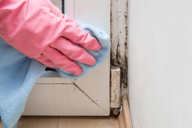 Best Residential Mold Removal  in Cowarts, AL