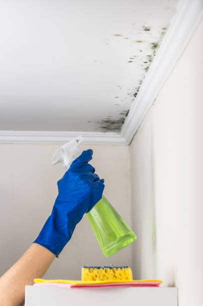 Best Office Mold Removal Services  in Cowarts, AL